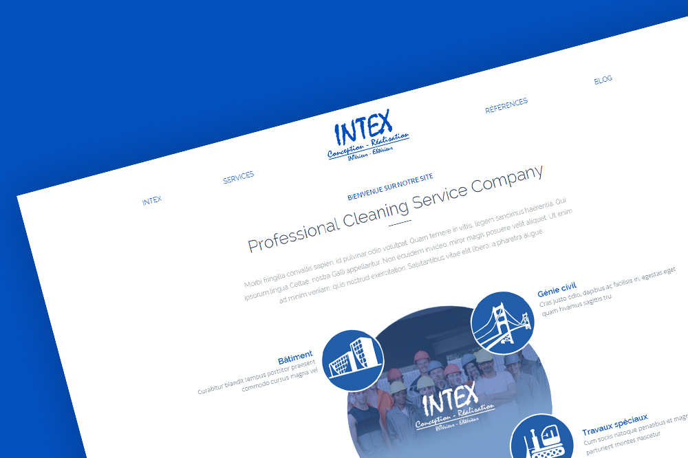 intex-service